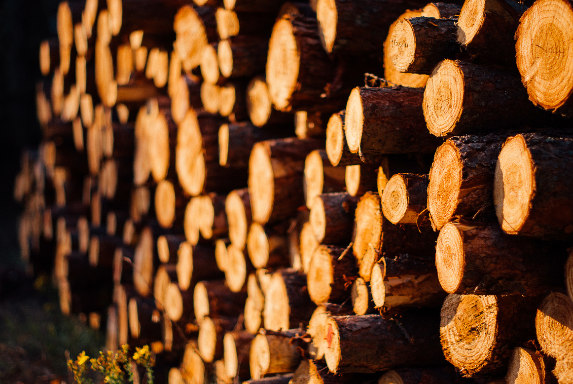 Brown Wooden Log Lot